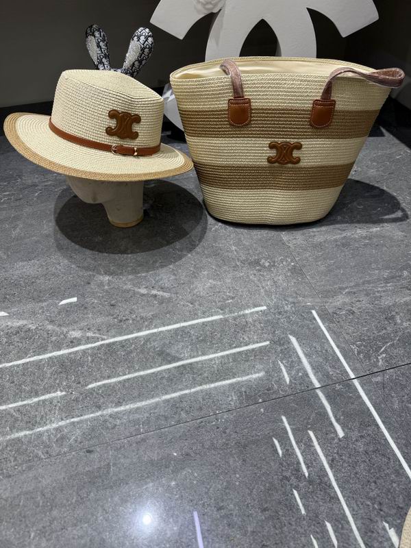 Celine bag hat dx (81)