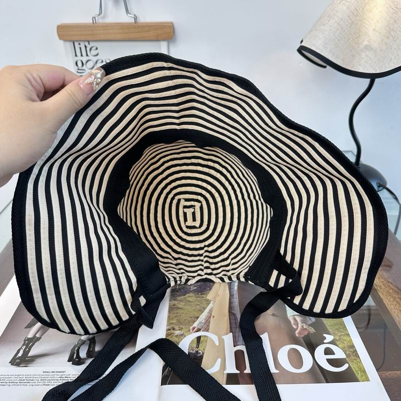 Celine hat (127)