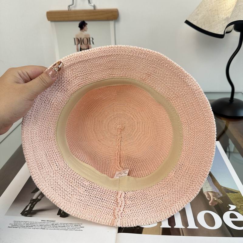 Celine hat (486)