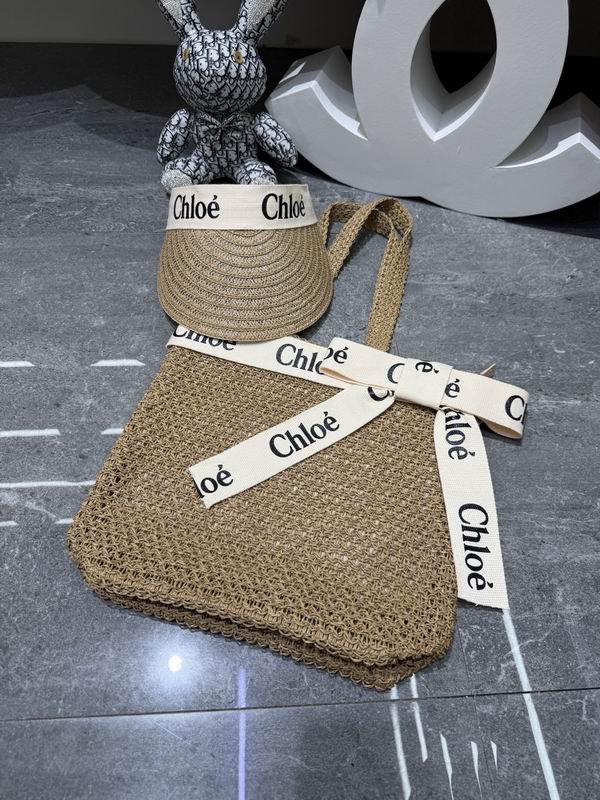 Chloe bag hat dx (23)