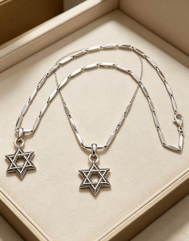 Chrome Hearts Necklace 04yxs631 (6)