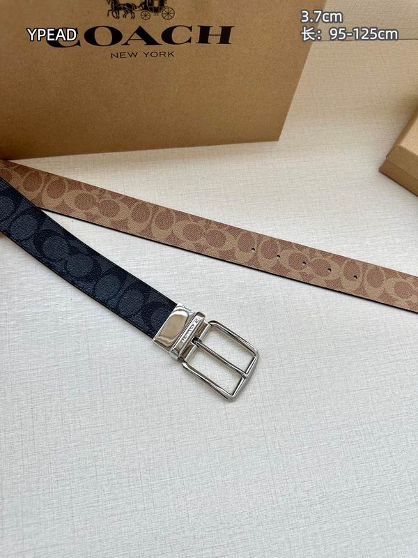 Coach belt 37mmX95-125cm 8L (12)