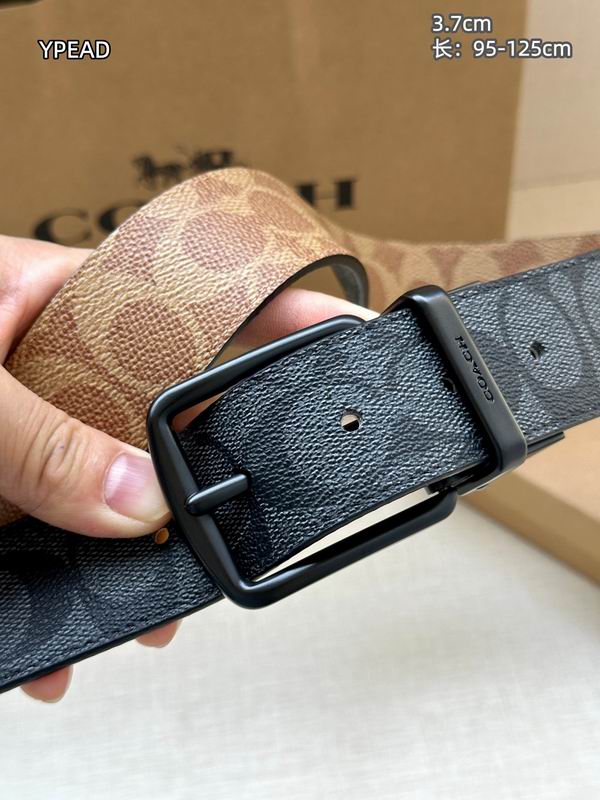 Coach belt 37mmX95-125cm 8L (14)