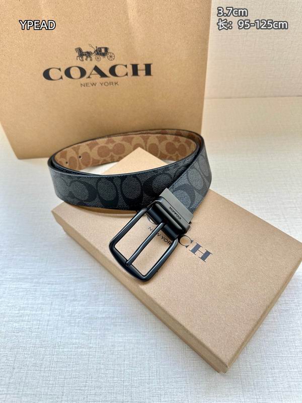 Coach belt 37mmX95-125cm 8L (15)