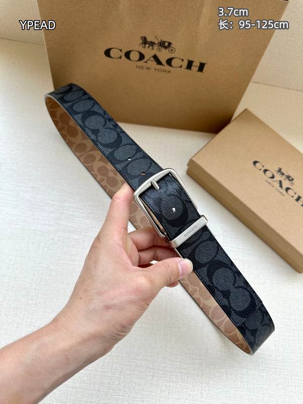 Coach belt 37mmX95-125cm 8L (17)