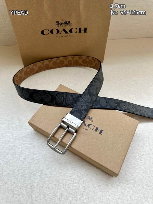Coach belt 37mmX95-125cm 8L (19)