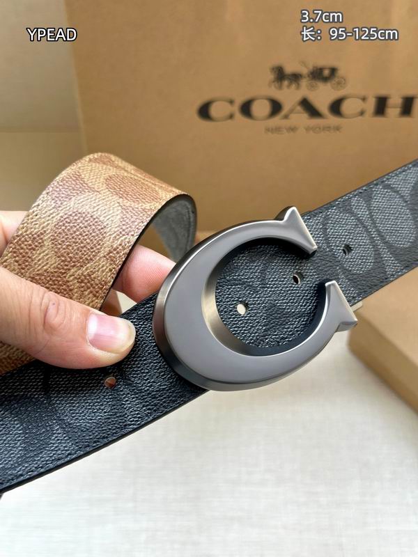 Coach belt 37mmX95-125cm 8L (2)