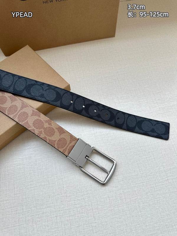 Coach belt 37mmX95-125cm 8L (20)