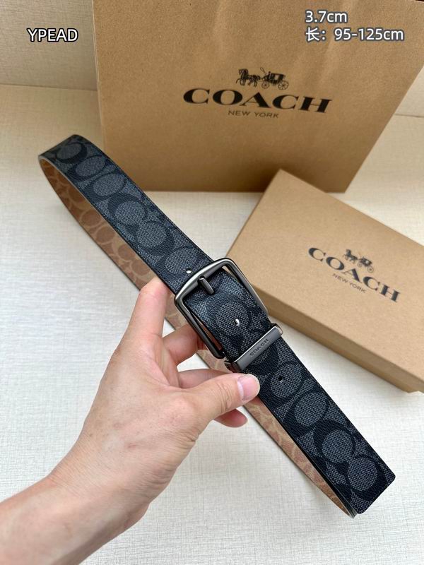 Coach belt 37mmX95-125cm 8L (21)