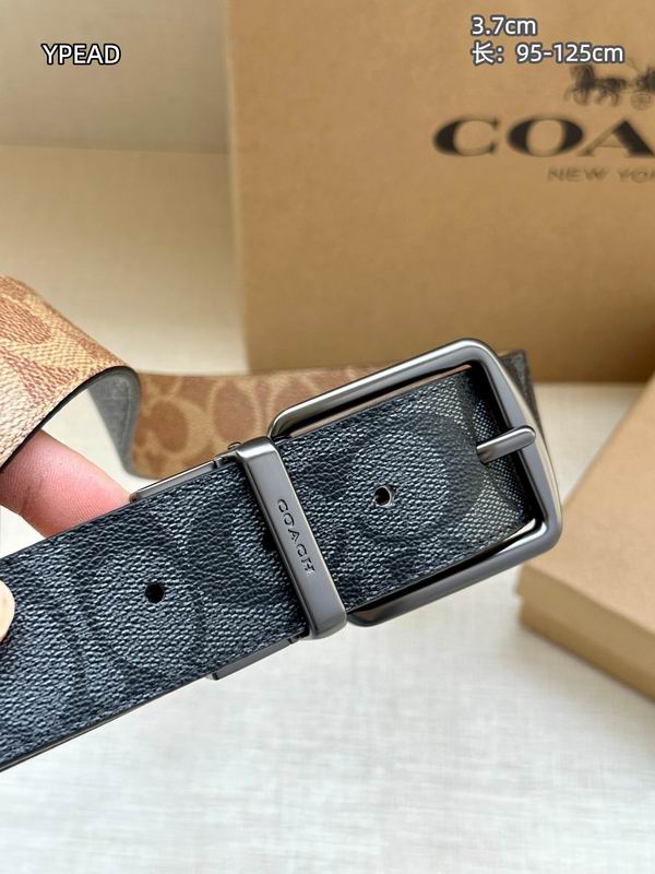 Coach belt 37mmX95-125cm 8L (22)