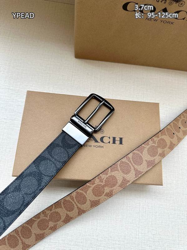 Coach belt 37mmX95-125cm 8L (23)