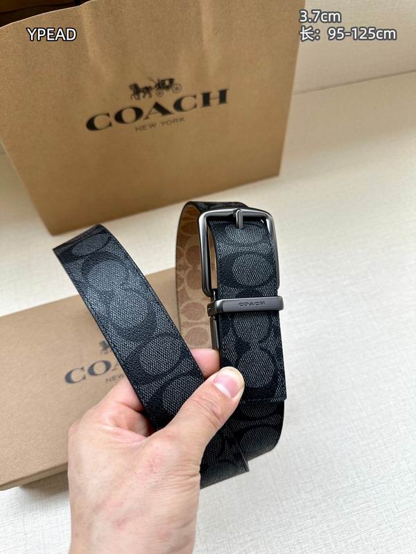 Coach belt 37mmX95-125cm 8L (24)