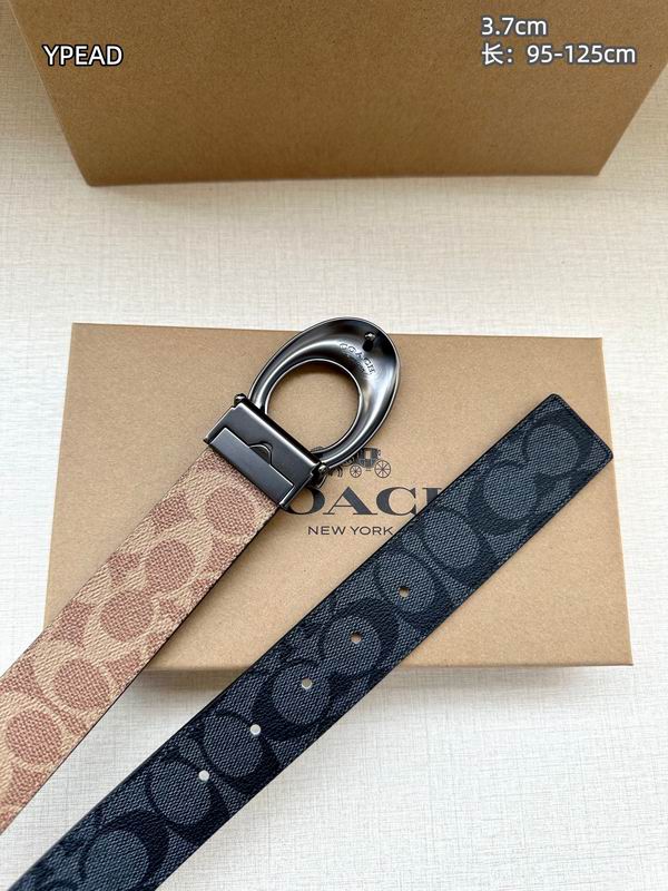 Coach belt 37mmX95-125cm 8L (3)