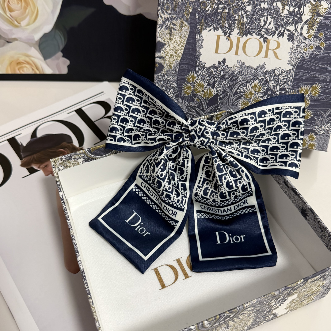 Dior Hairpin hh (131)