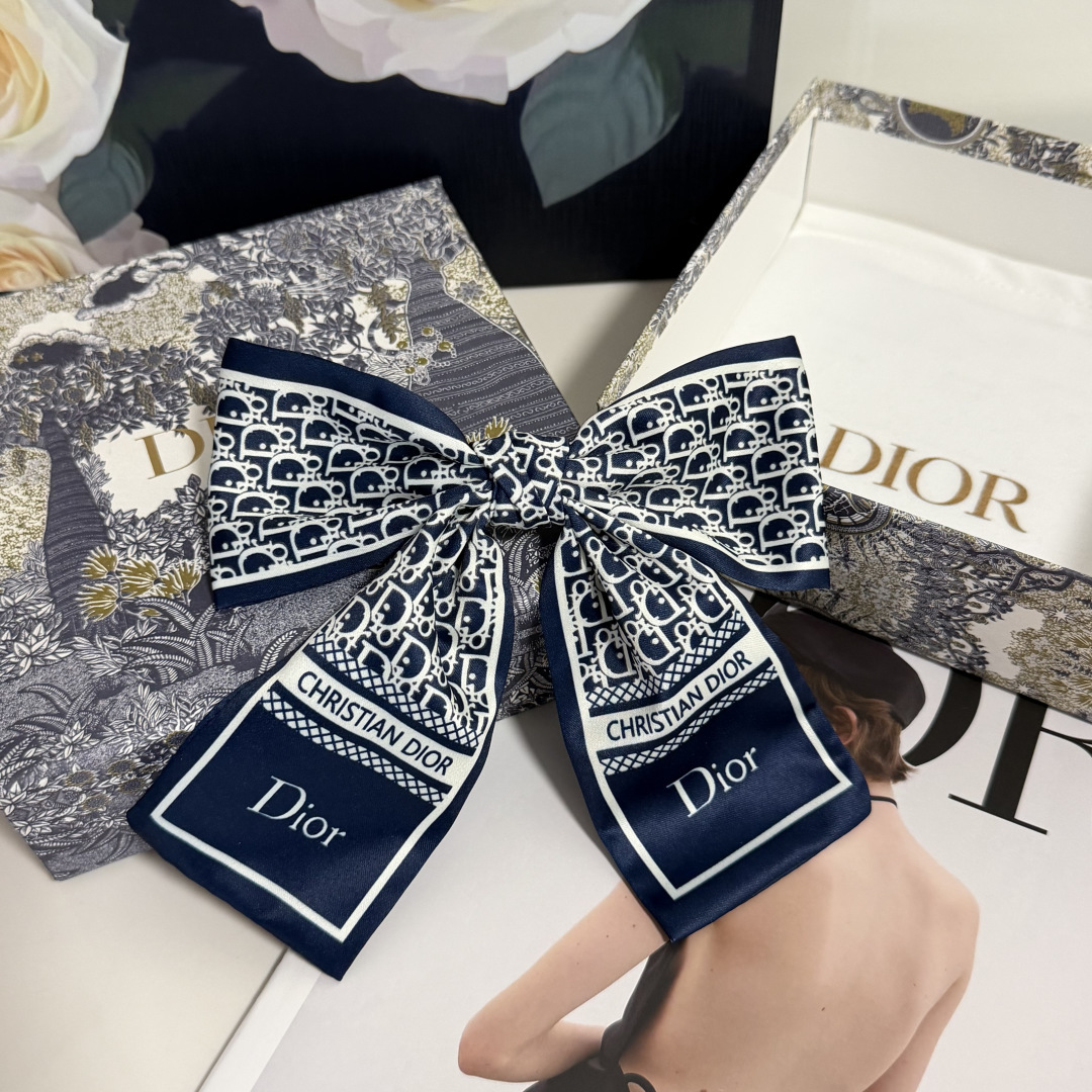 Dior Hairpin hh (133)
