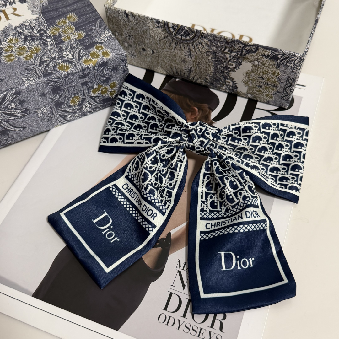 Dior Hairpin hh (134)