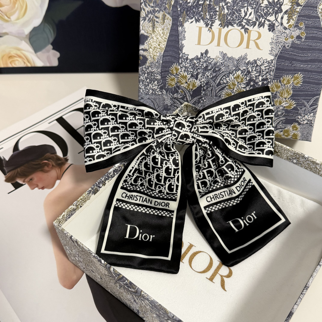 Dior Hairpin hh (139)