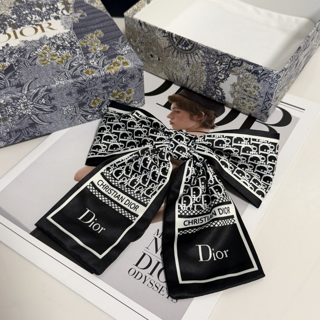 Dior Hairpin hh (142)