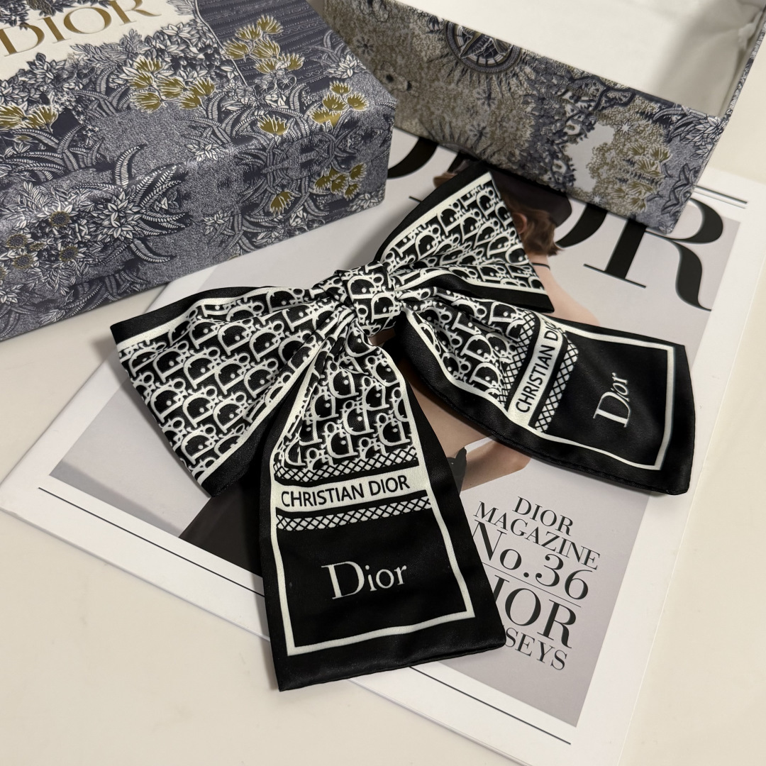 Dior Hairpin hh (143)