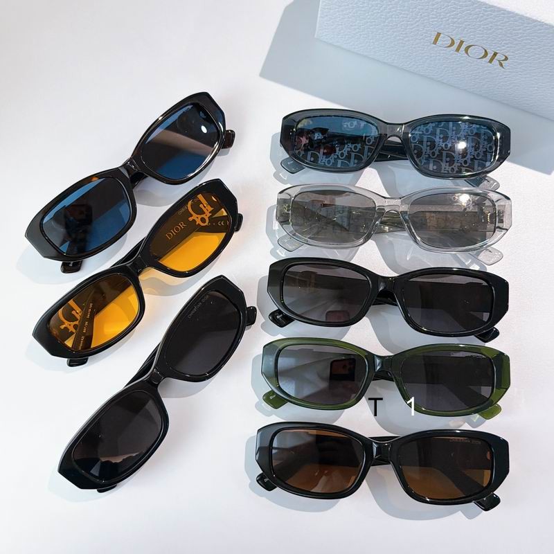 Dior R2I 54 19-145 a09