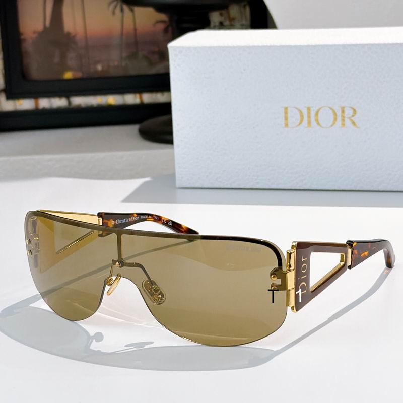 Dior SCRIME 115 a02
