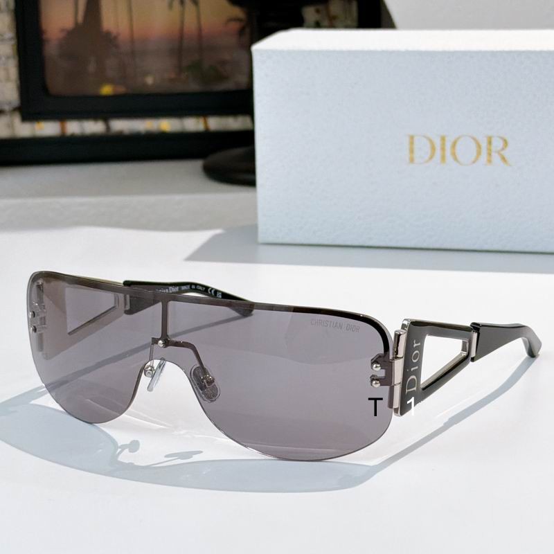 Dior SCRIME 115 a03