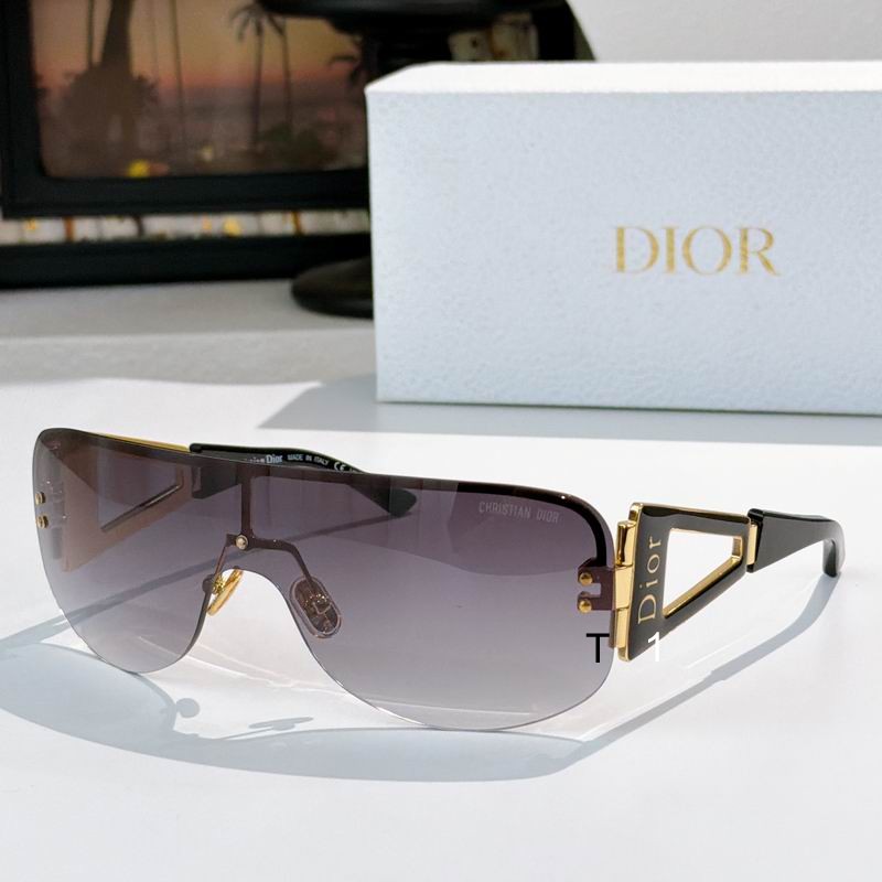 Dior SCRIME 115 a06
