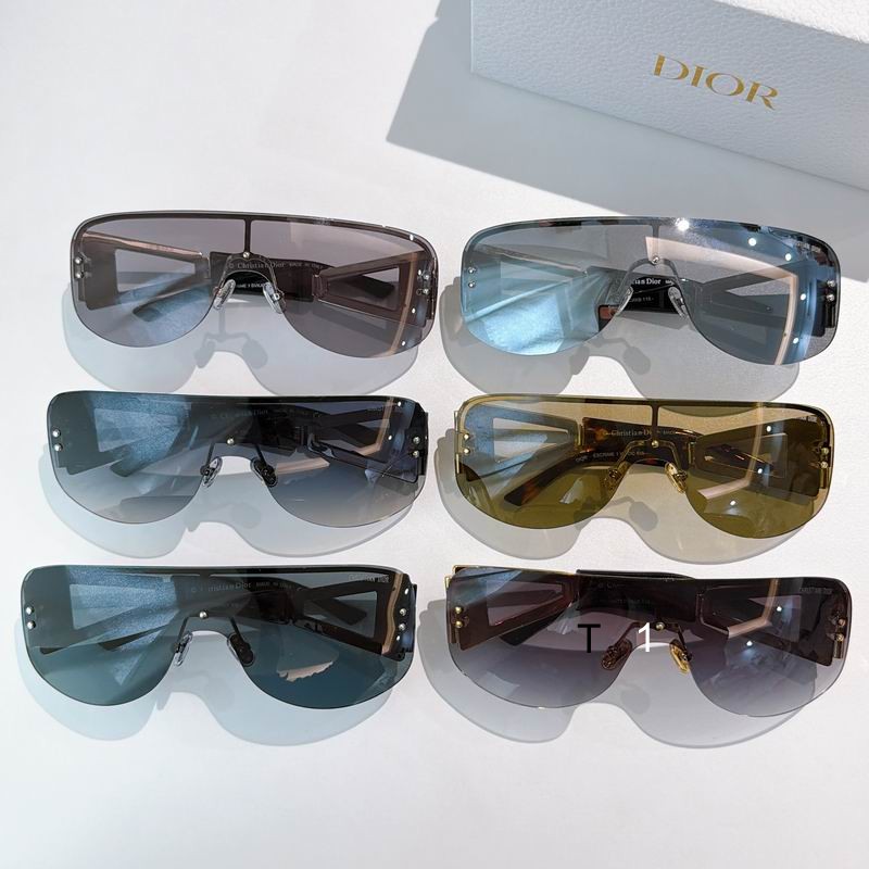 Dior SCRIME 115 a09