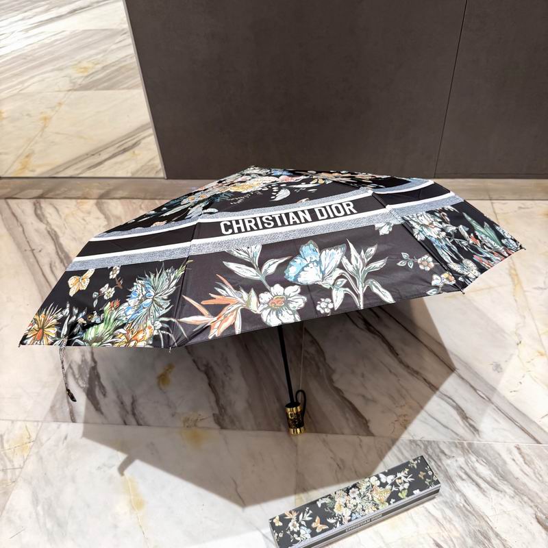 Dior Umbrella (33)