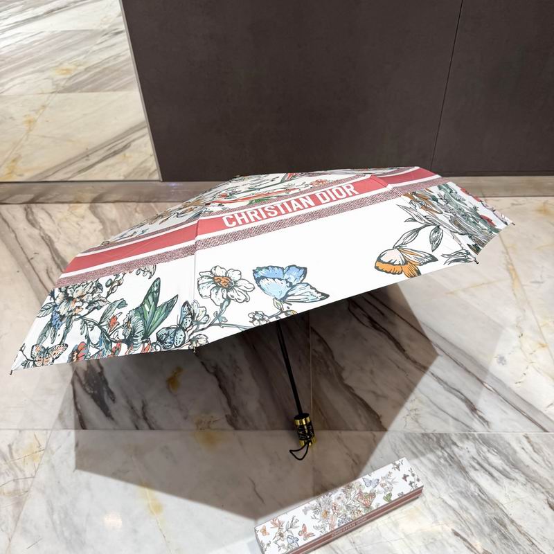 Dior Umbrella (52)