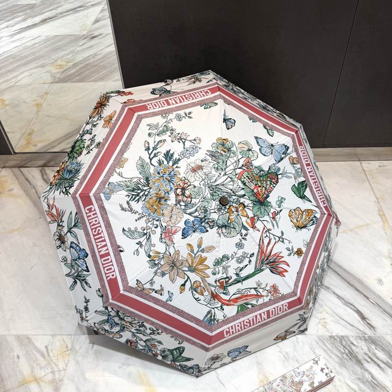 Dior Umbrella (54)