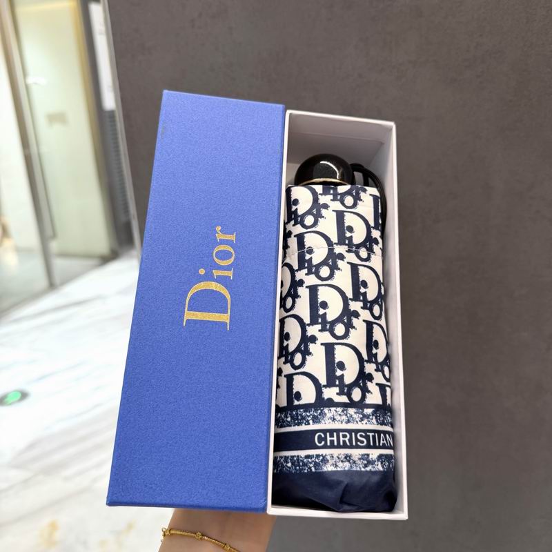 Dior Umbrella (73)