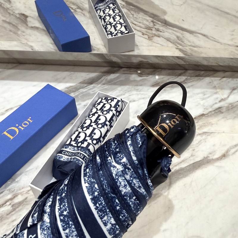 Dior Umbrella (74)