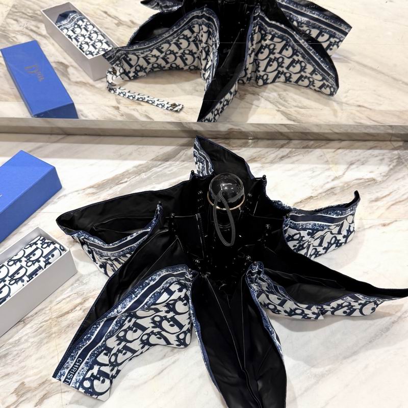 Dior Umbrella (77)