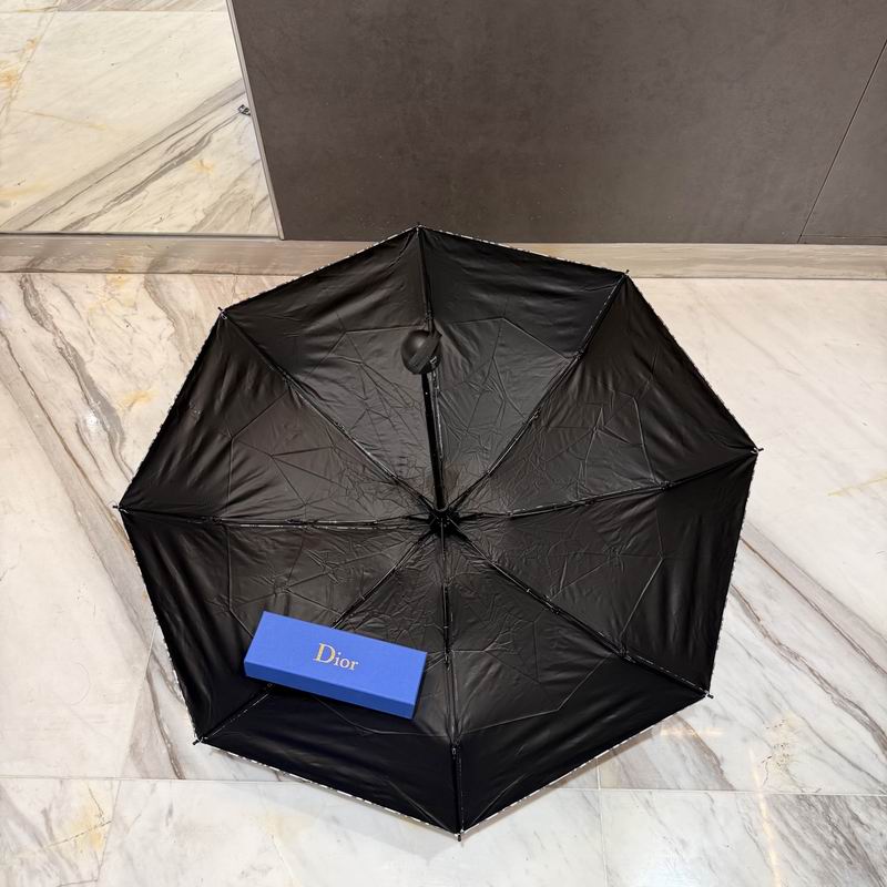 Dior Umbrella (78)