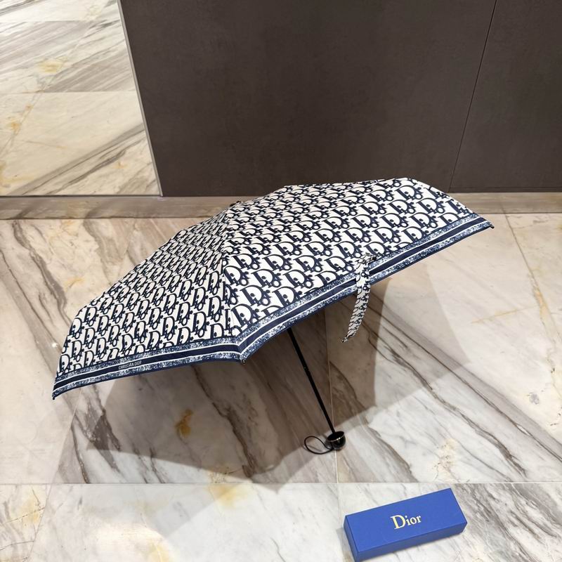 Dior Umbrella (79)