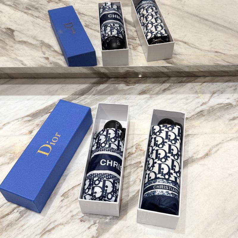 Dior Umbrella (81)