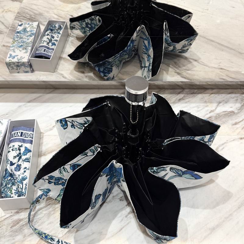 Dior Umbrella (86)