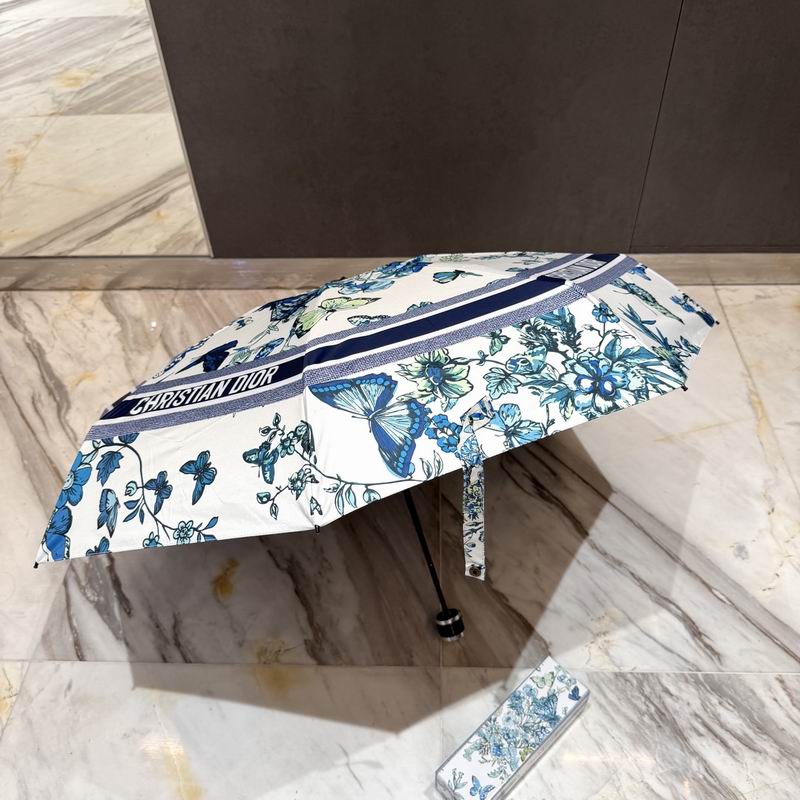 Dior Umbrella (87)