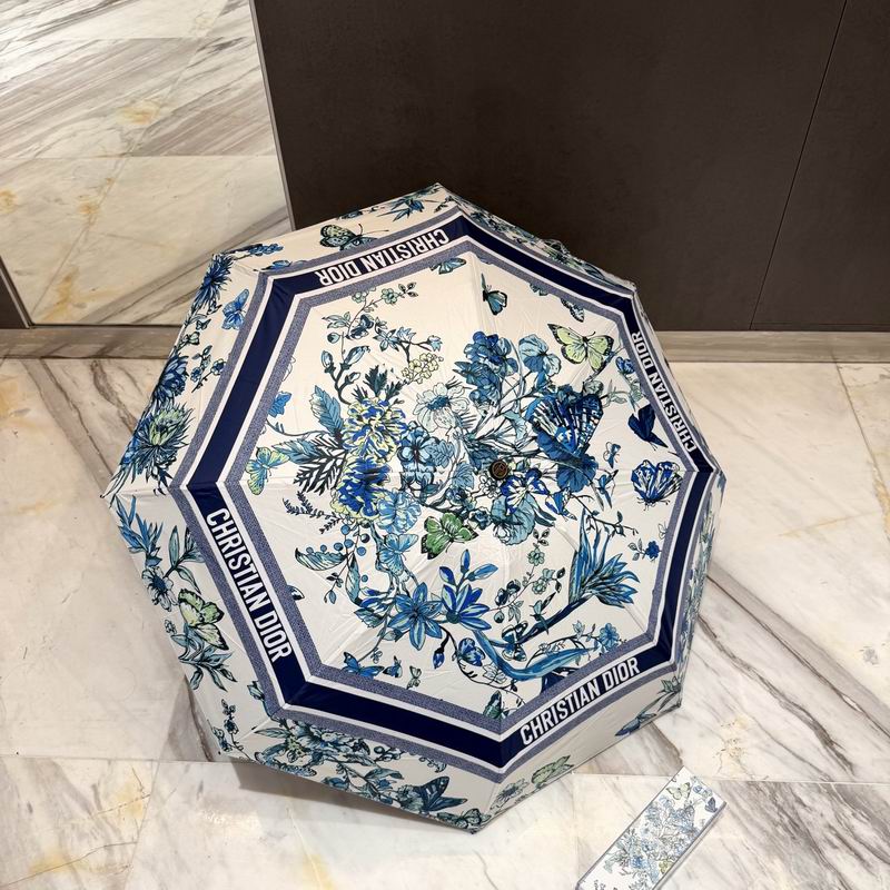 Dior Umbrella (89)