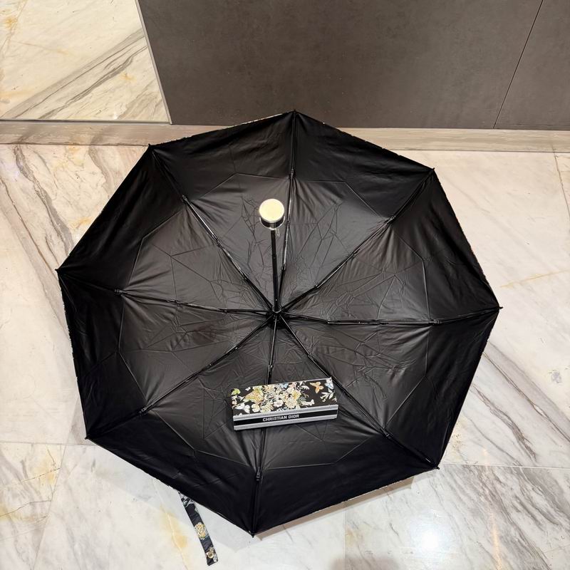 Dior Umbrella (96)