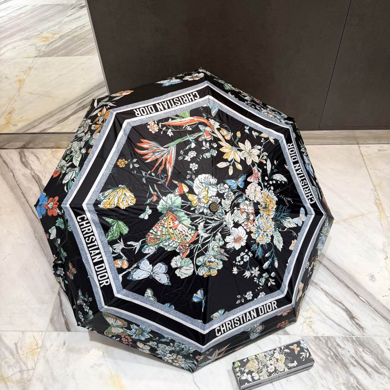 Dior Umbrella (98)