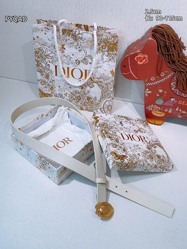 Dior belt 25mmX90-115cm 8L (16)