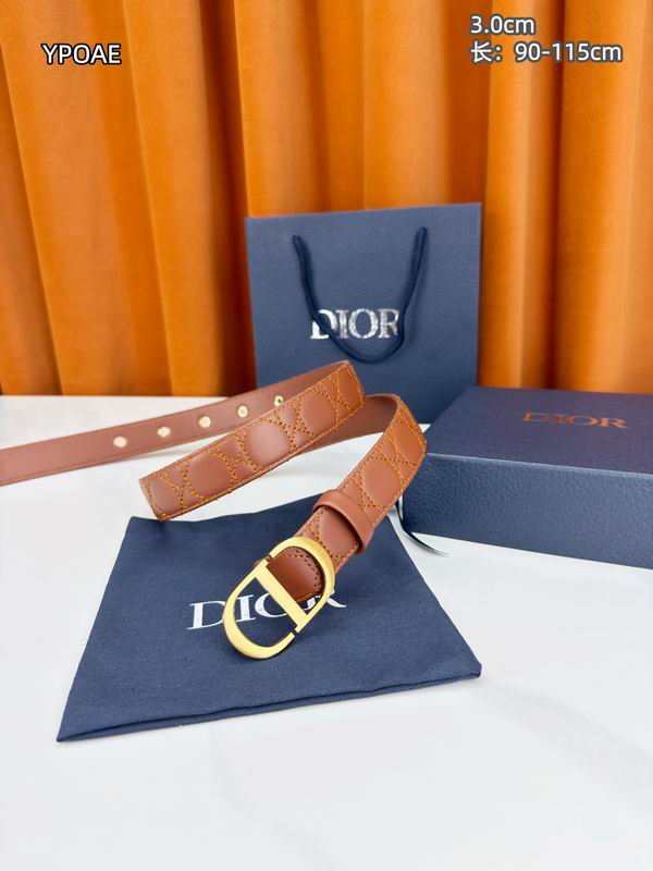 Dior belt 30mmX90-115cm 8L (11)