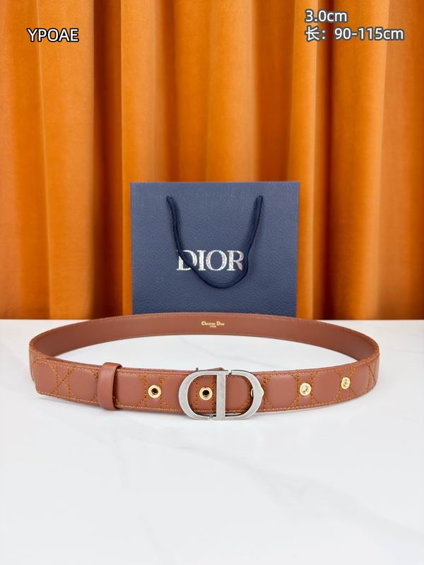 Dior belt 30mmX90-115cm 8L (13)