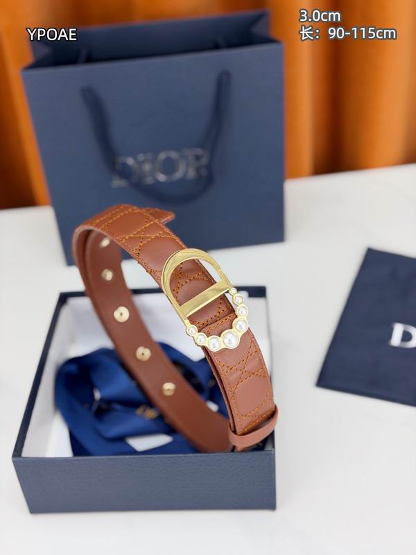 Dior belt 30mmX90-115cm 8L (19)