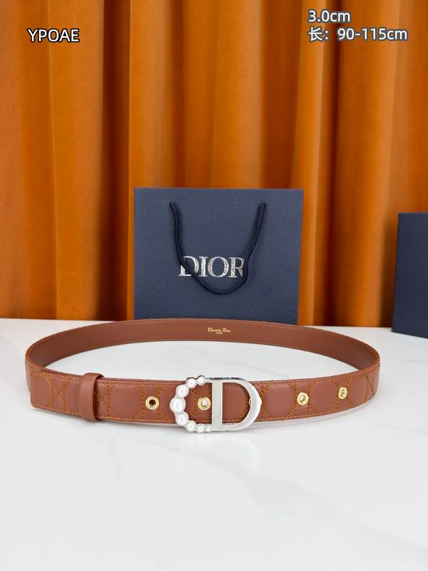 Dior belt 30mmX90-115cm 8L (21)