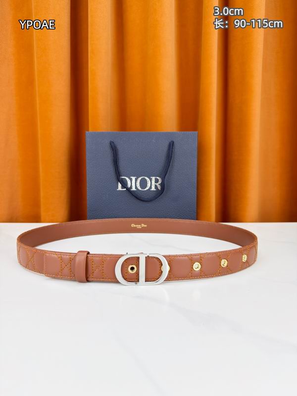 Dior belt 30mmX90-115cm 8L (5)