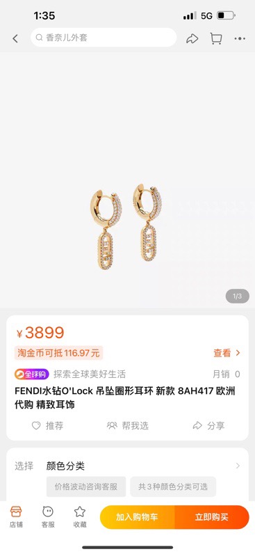 Fendi Earring 04yxs10 (13)