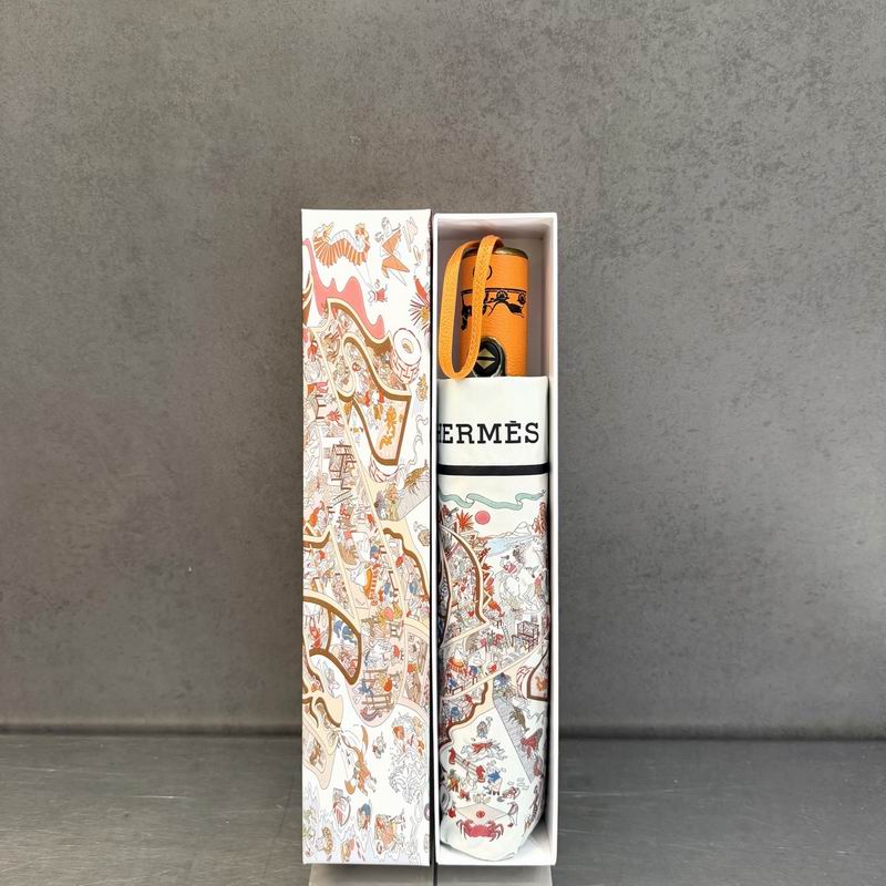 Hermes Umbrella (1)